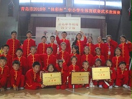 青岛明珠国学在2018青岛市第二届中小学生武术表演赛中取得优异成绩